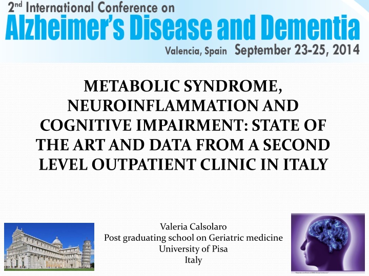 metabolic syndrome neuroinflammation