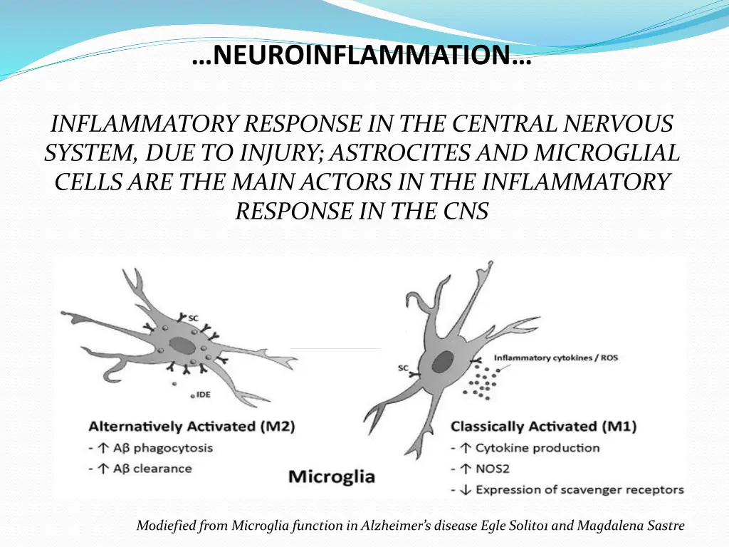 neuroinflammation