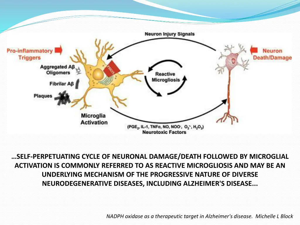 self perpetuating cycle of neuronal damage death