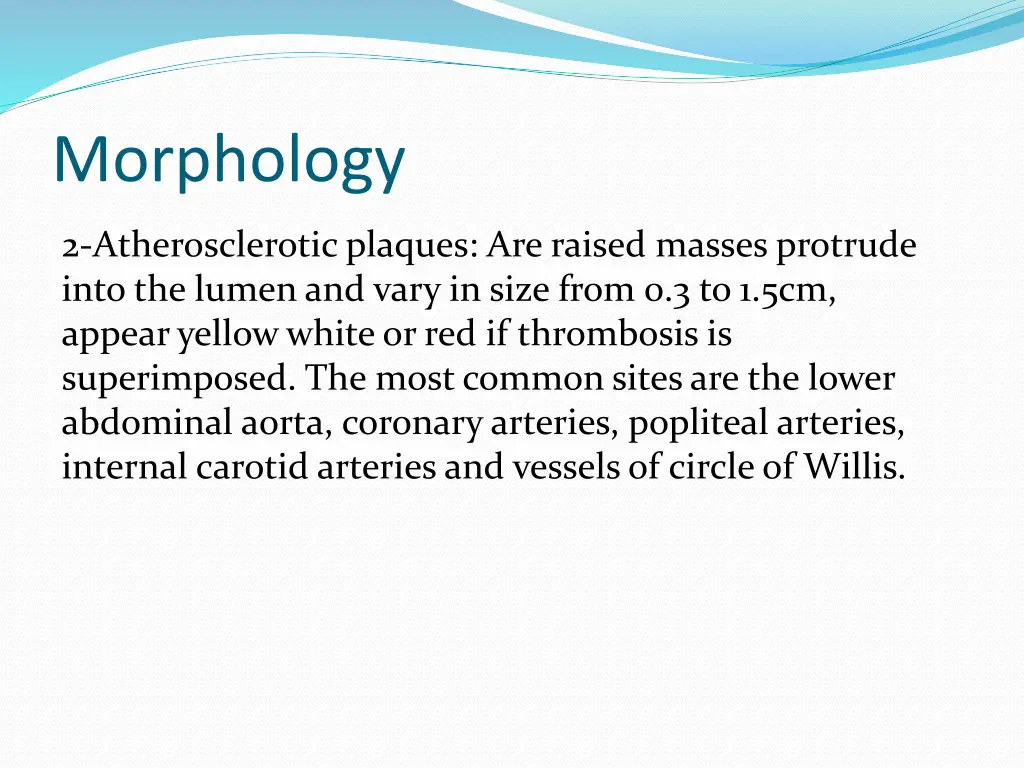 morphology 1