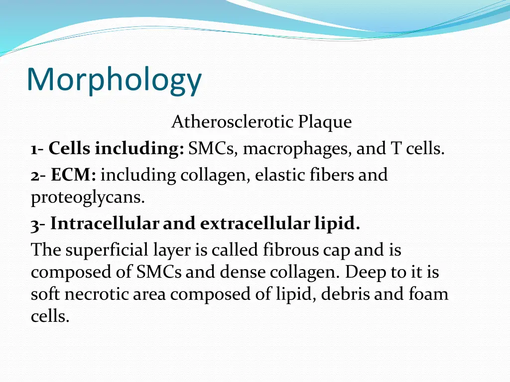 morphology 2
