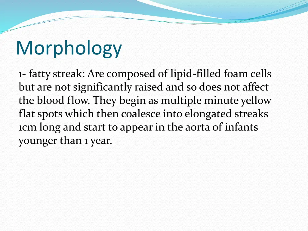 morphology