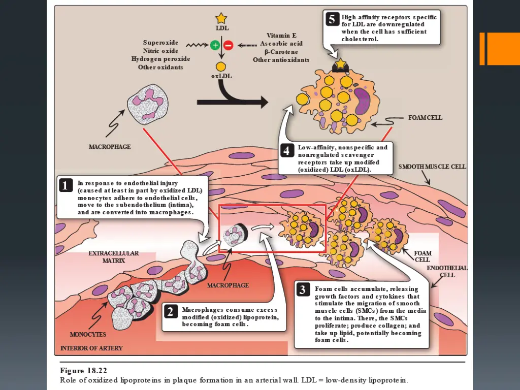 slide14