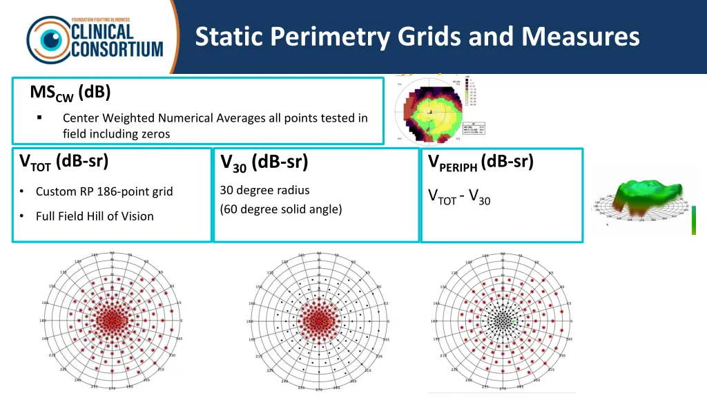 static perimetry grids and measures