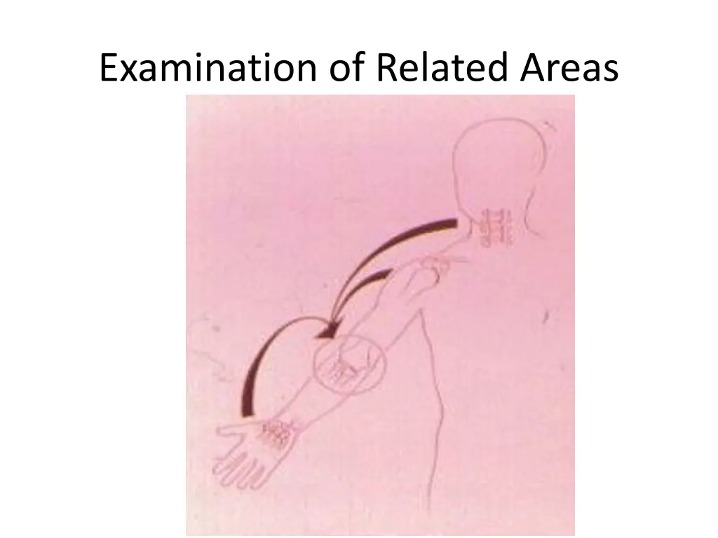 examination of related areas