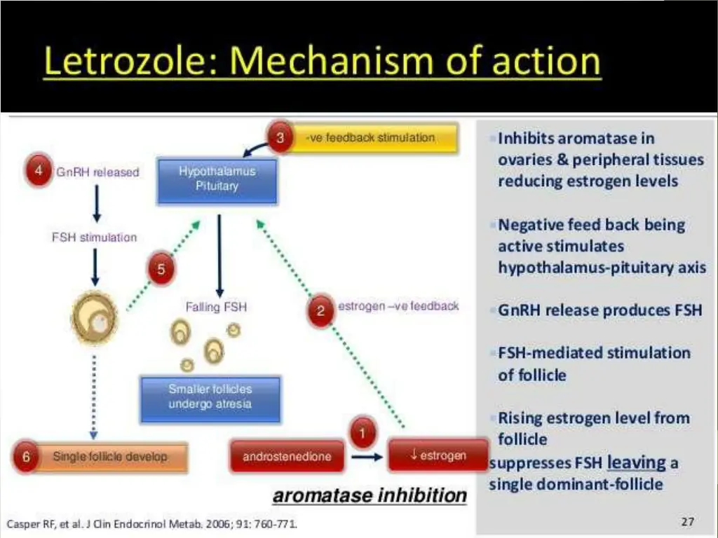 slide31