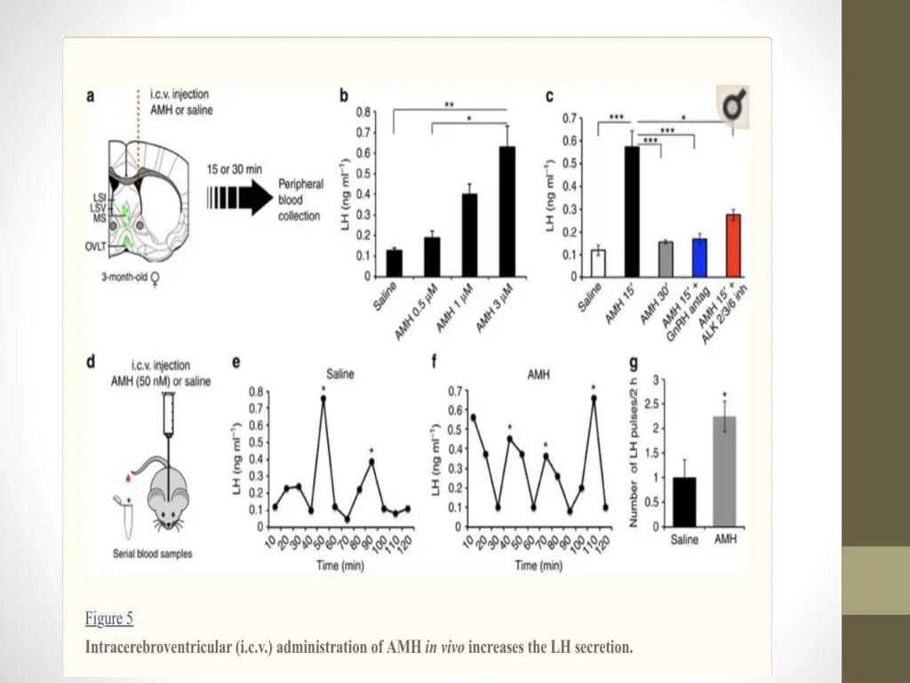 slide38
