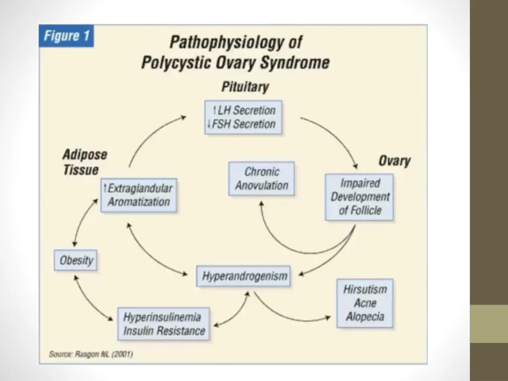 slide7
