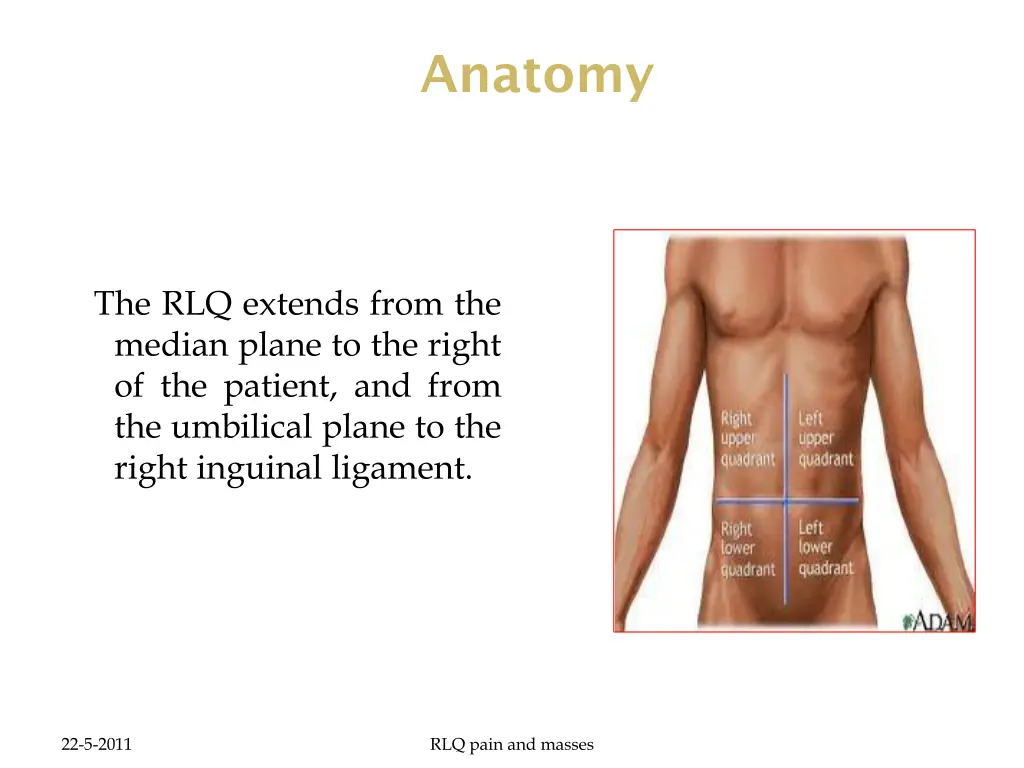 anatomy