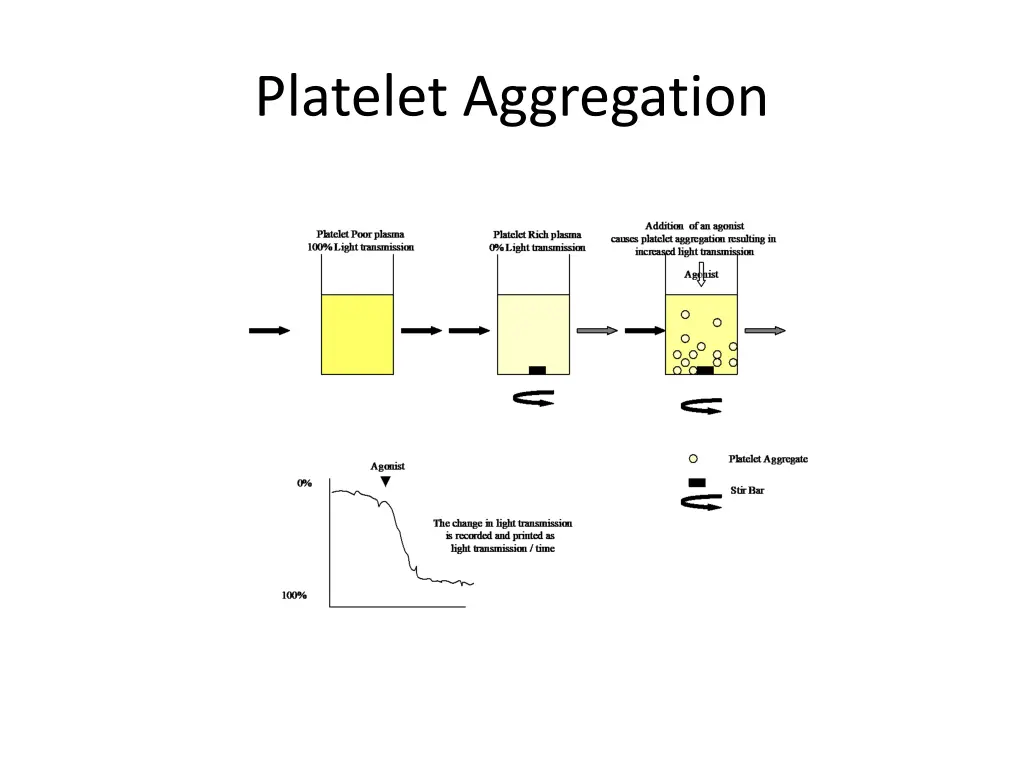 platelet aggregation