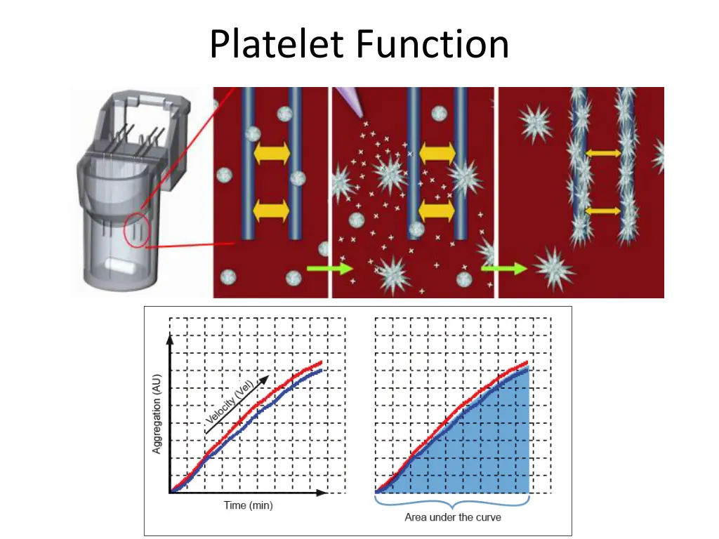 platelet function