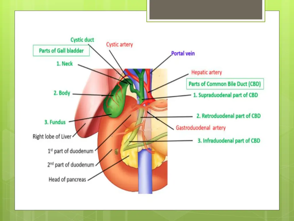 slide6