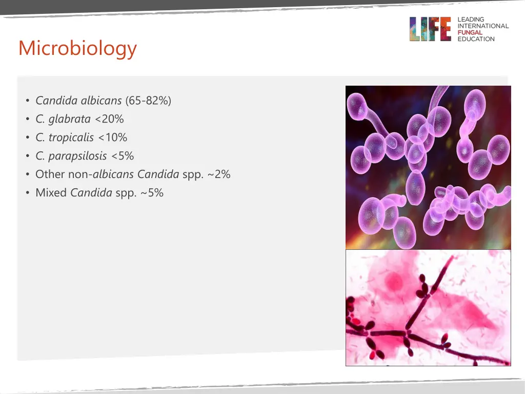microbiology