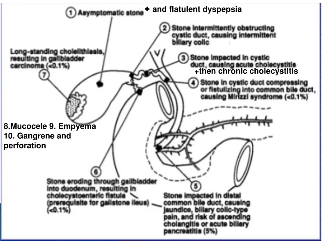 and flatulent dyspepsia