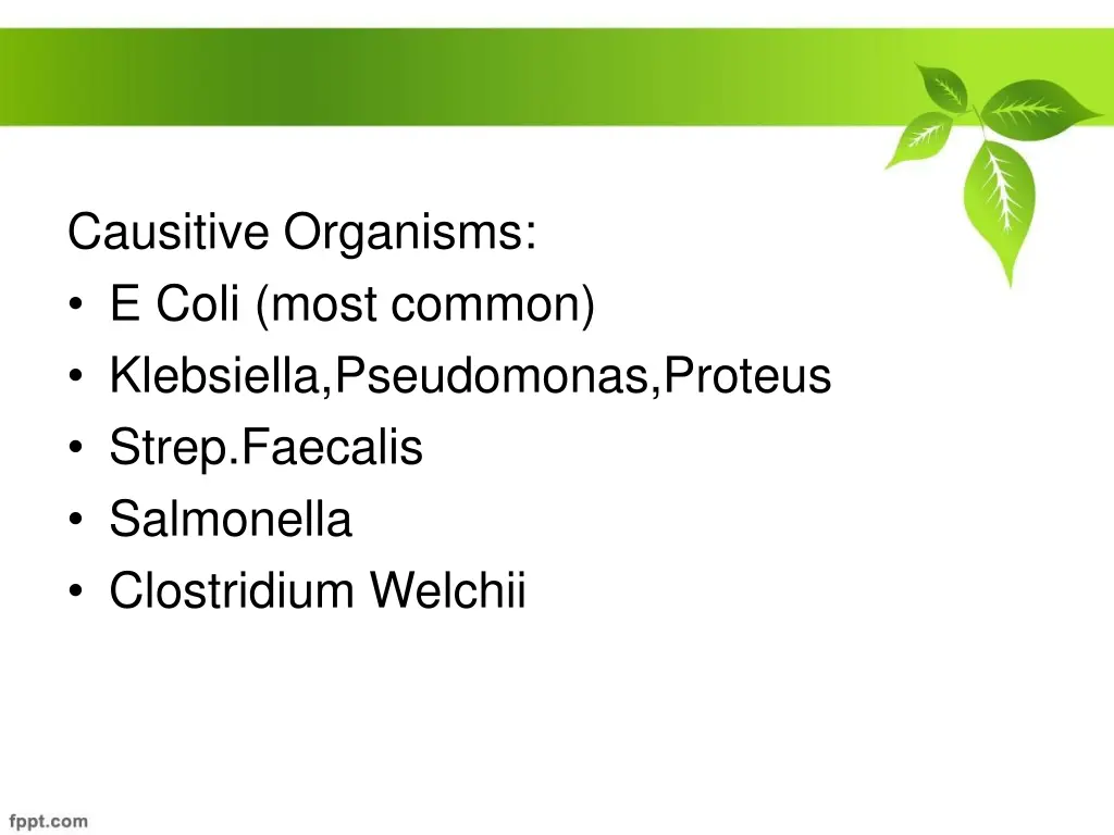 causitive organisms e coli most common klebsiella