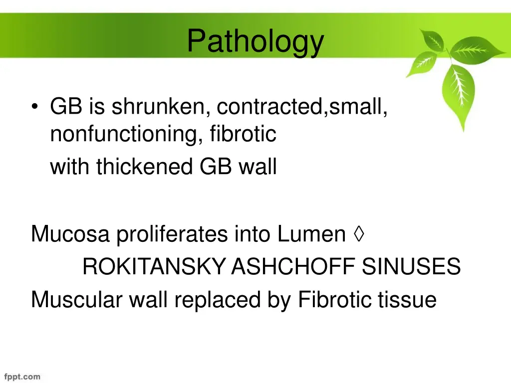 pathology