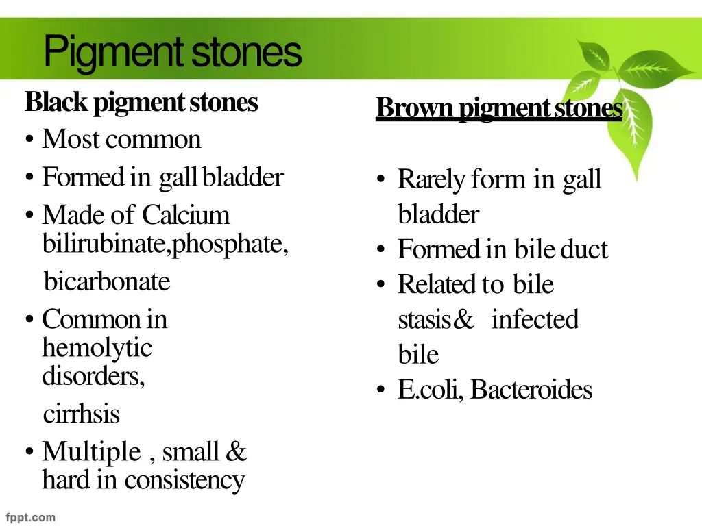 pigmentstones black pigmentstones mostcommon