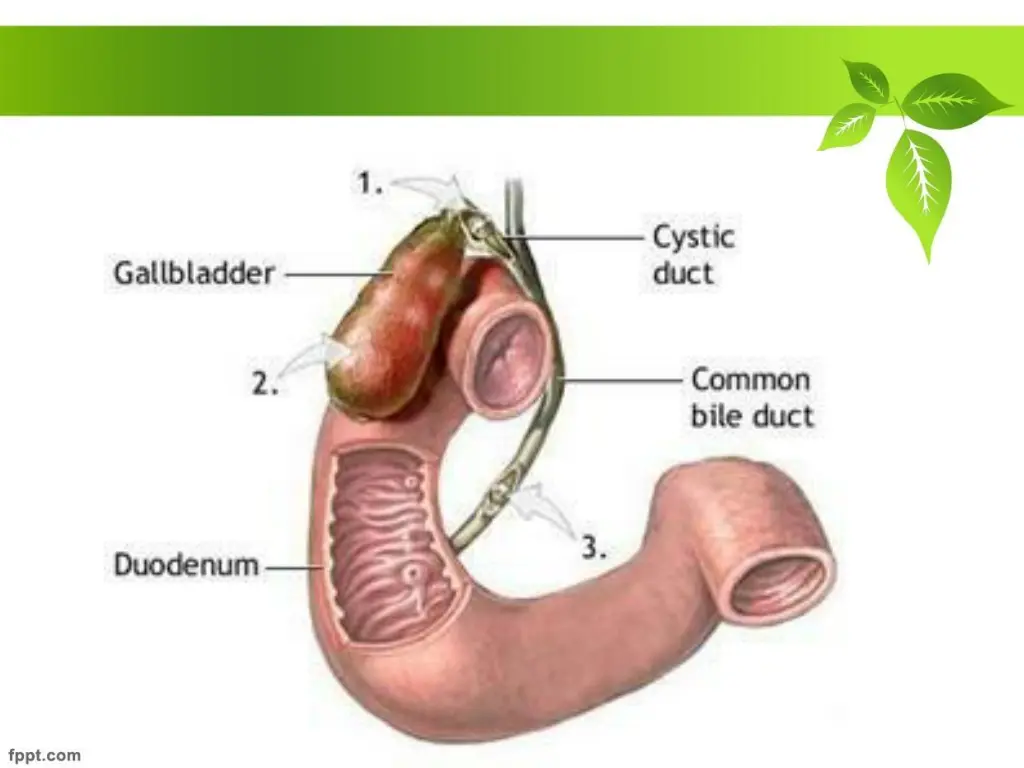 slide2