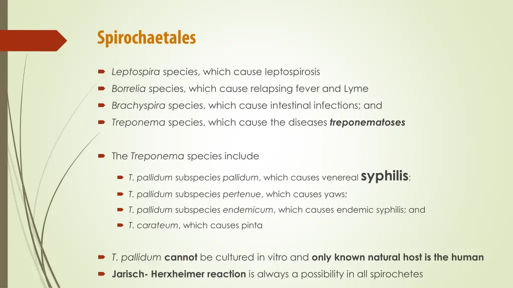 leptospira species which cause leptospirosis