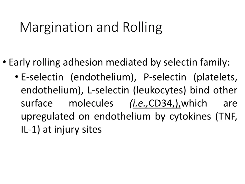 margination and rolling 1