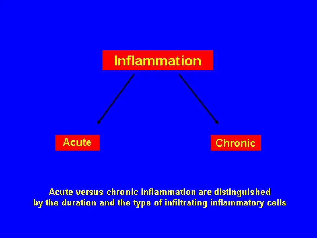 slide4