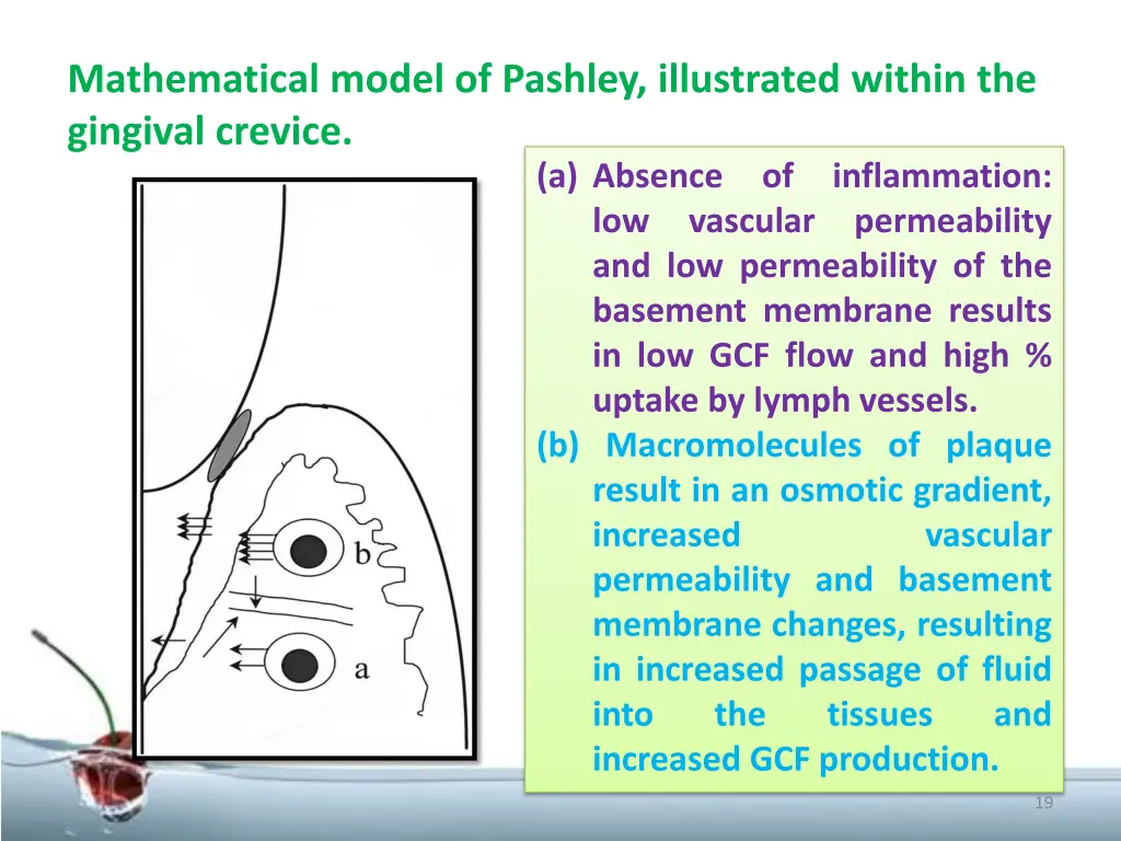 mathematical model of pashley illustrated within