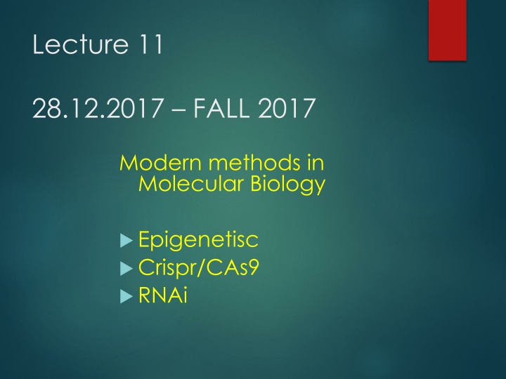 lecture 11