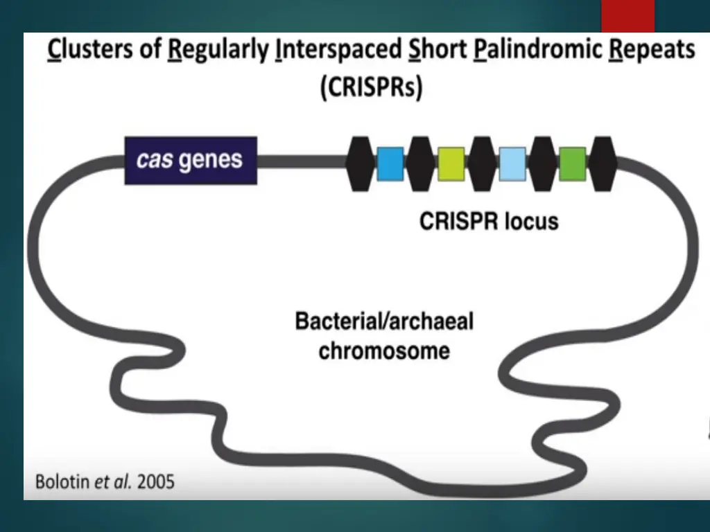 slide6