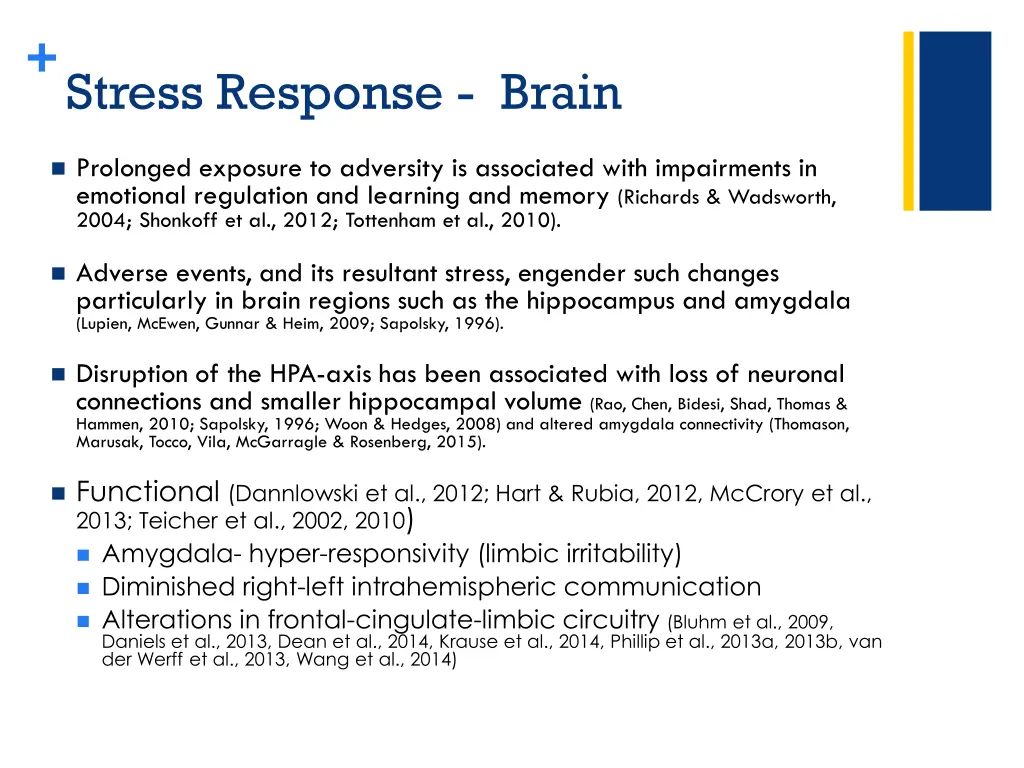 stress response brain