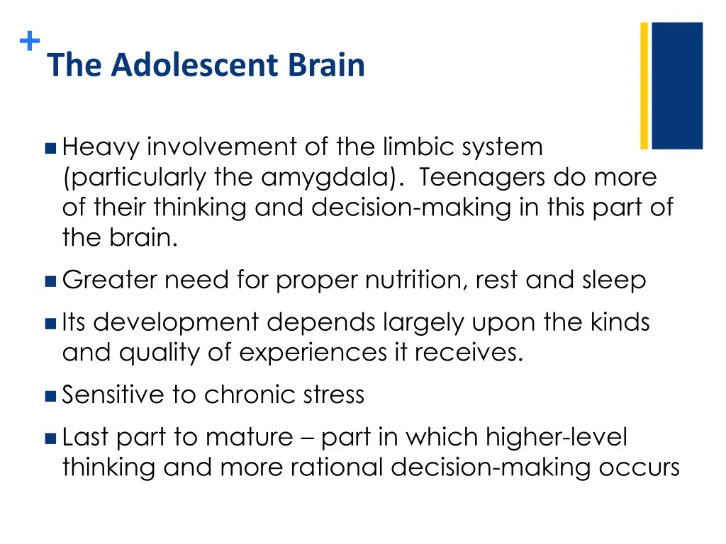 the adolescent brain 1