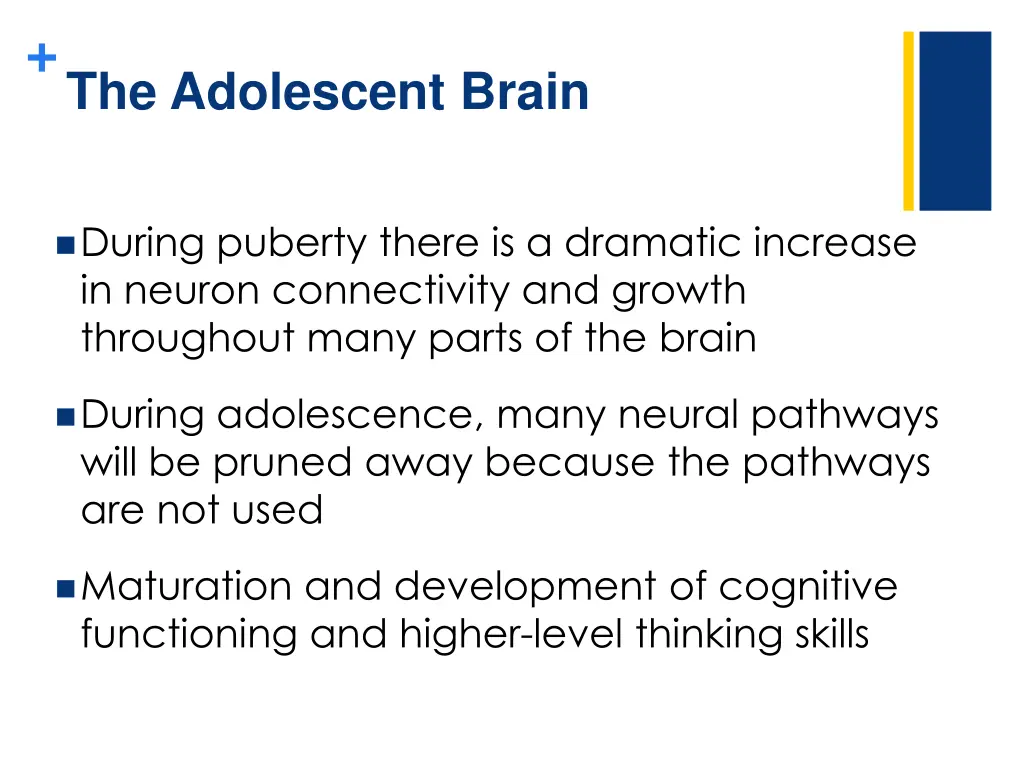 the adolescent brain