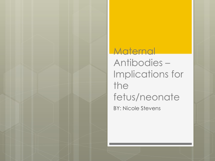 maternal antibodies implications for the fetus