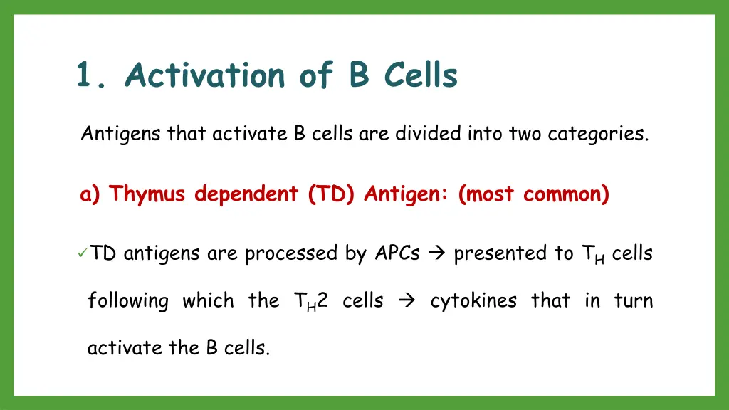 1 activation of b cells