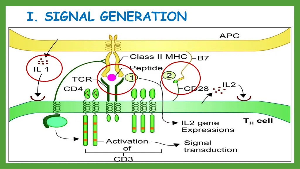 i signal generation 1