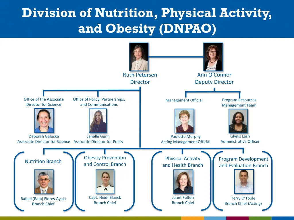 division of nutrition physical activity