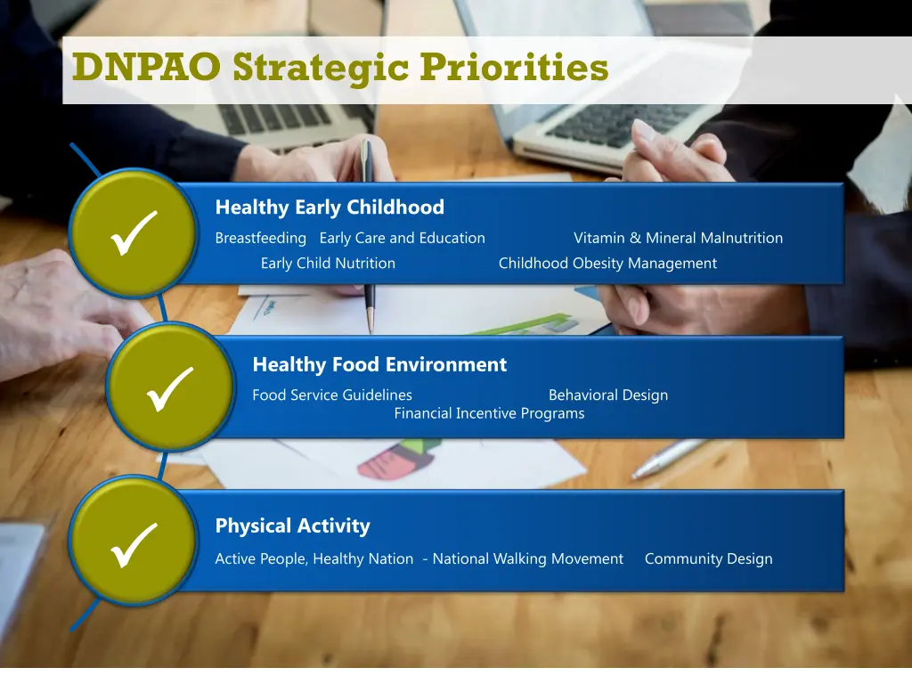 dnpao strategic priorities