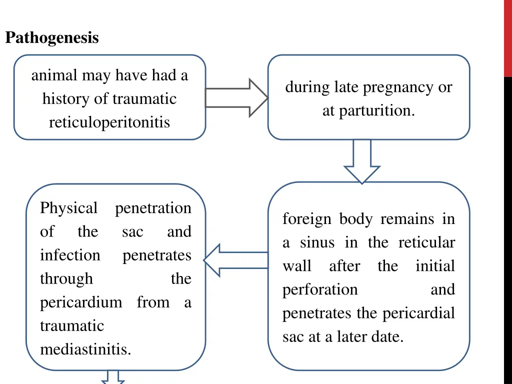 pathogenesis