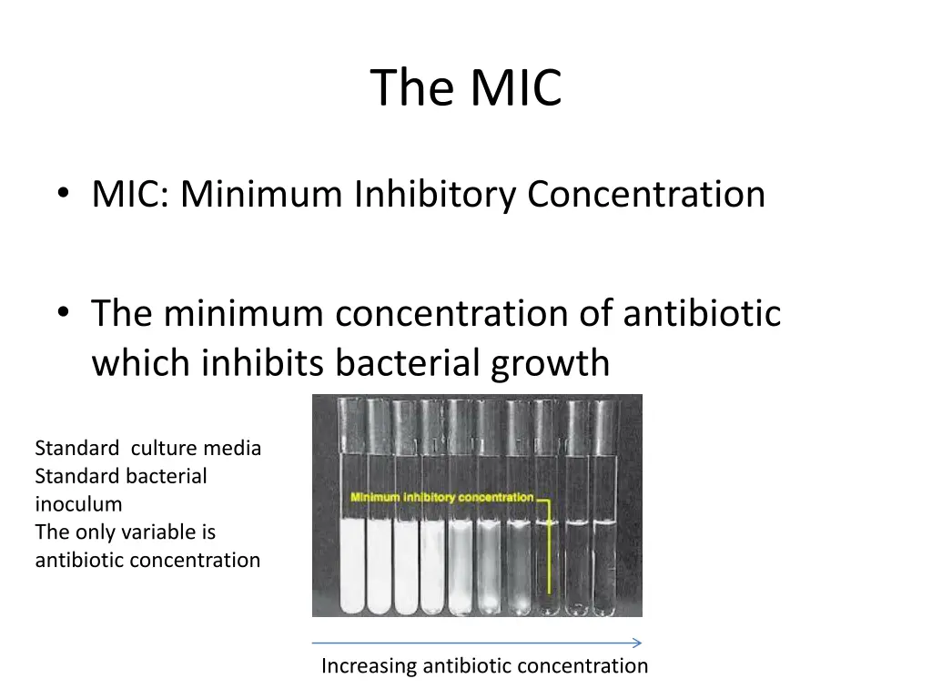 the mic 1