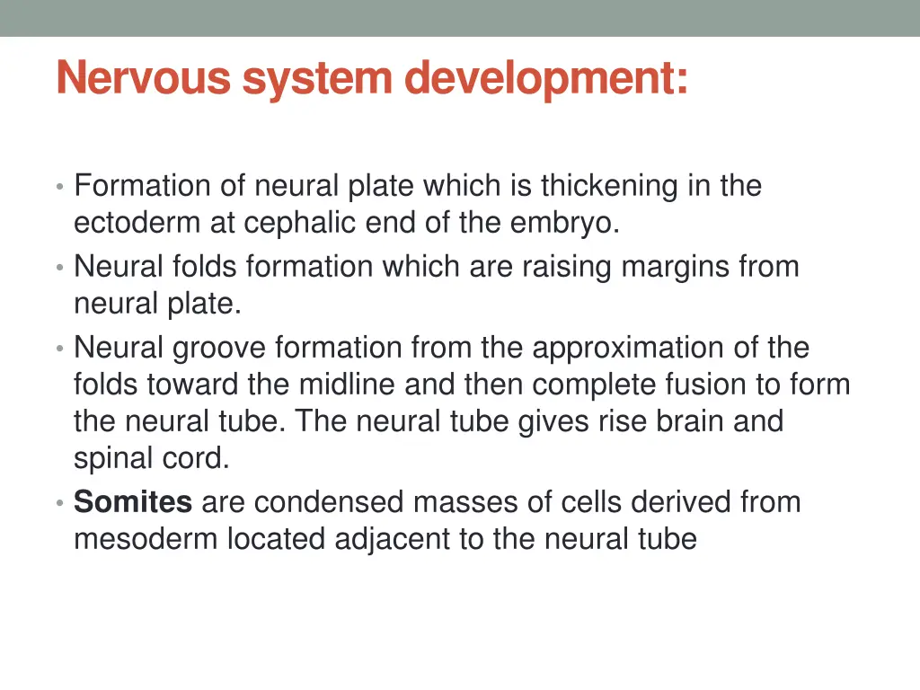 nervous system development