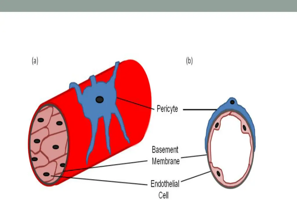 slide29