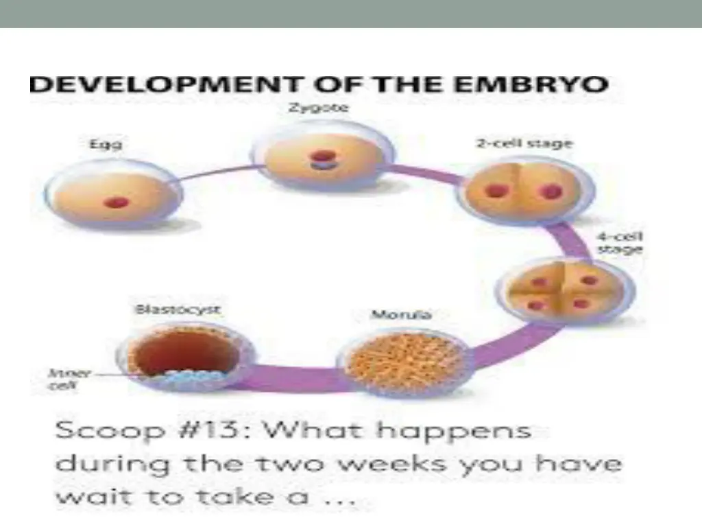 slide3