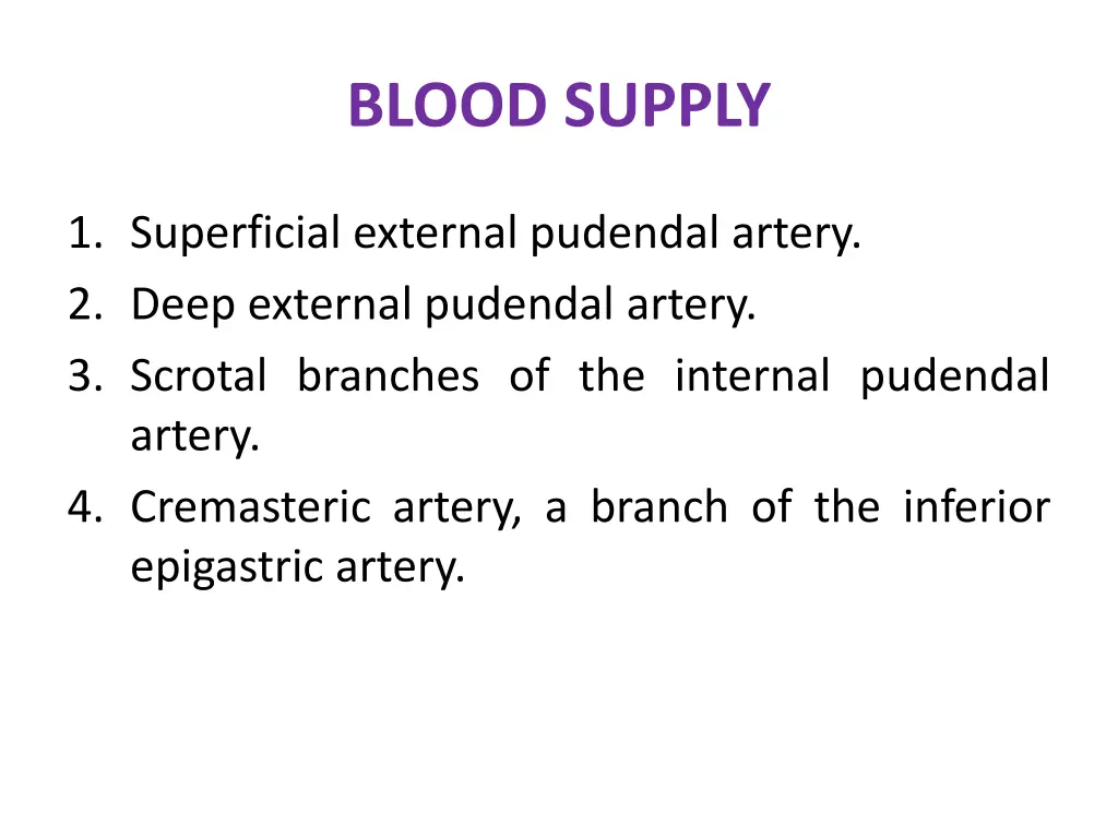 blood supply