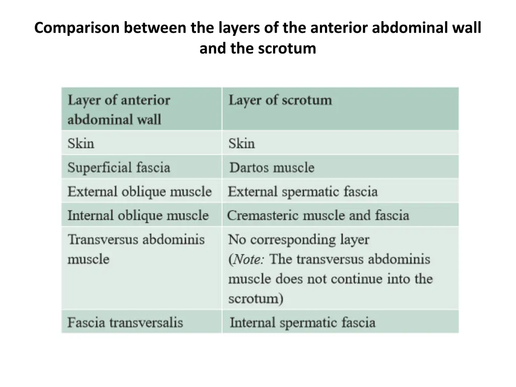 comparison between the layers of the anterior
