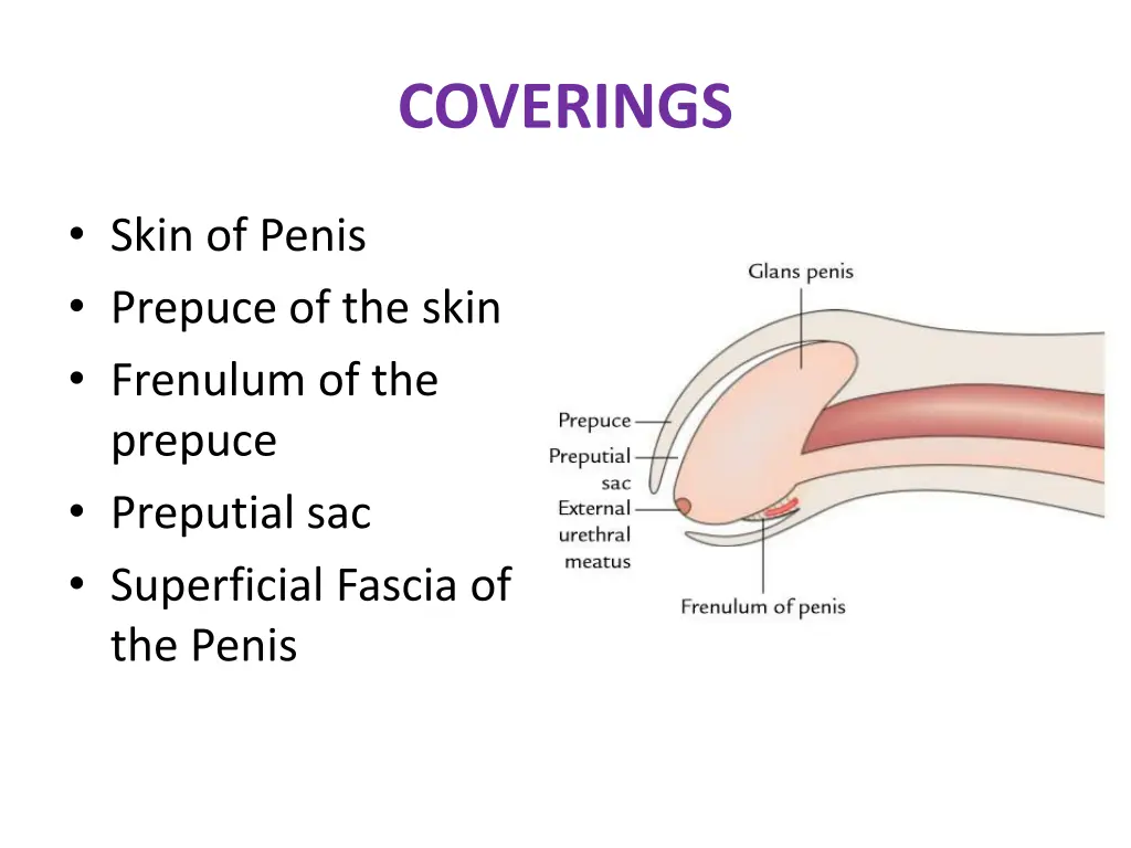 coverings