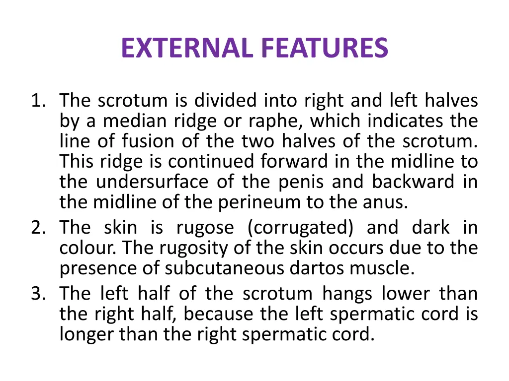 external features