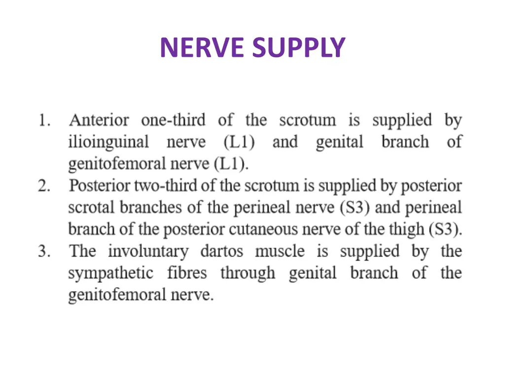 nerve supply 1