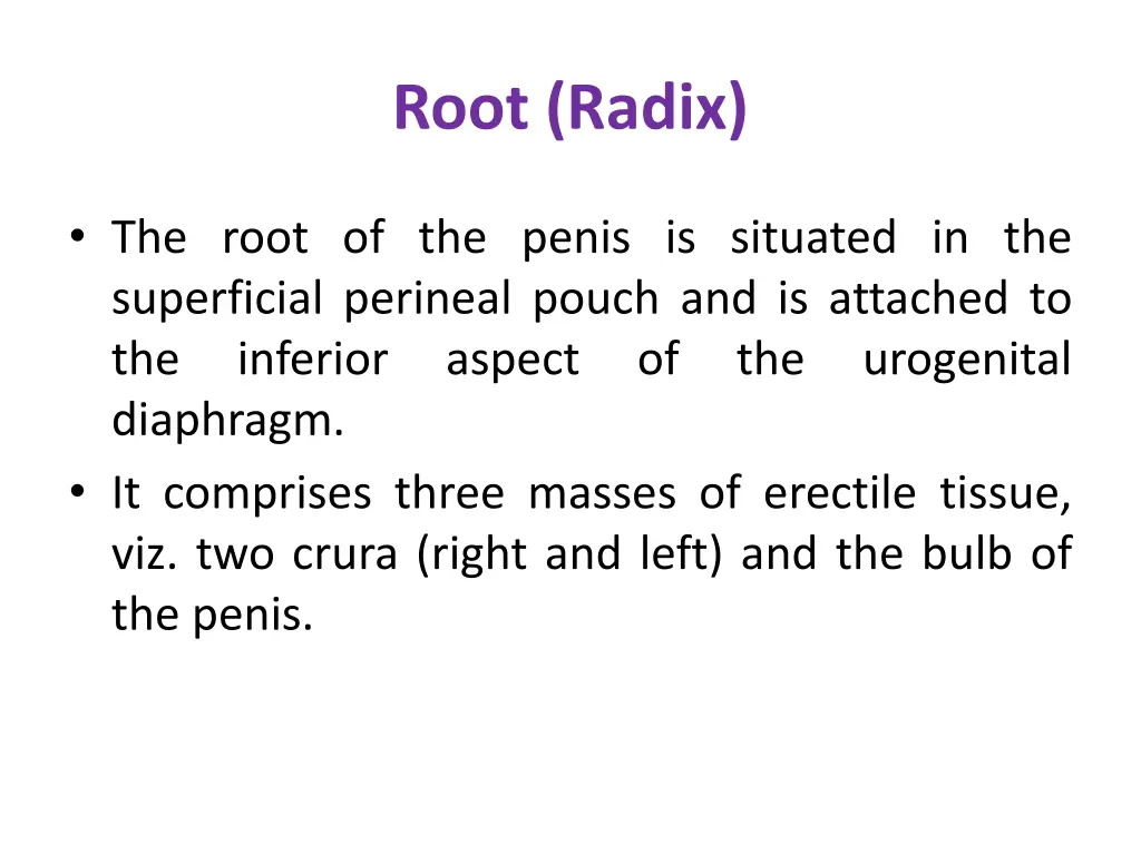 root radix