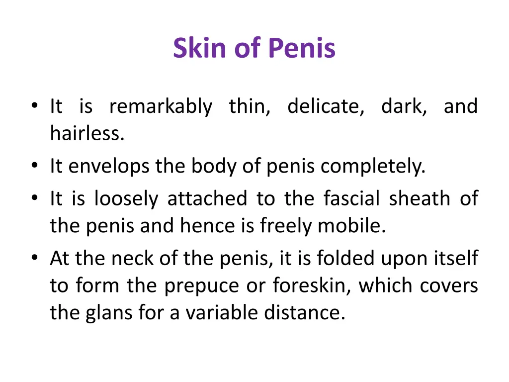 skin of penis