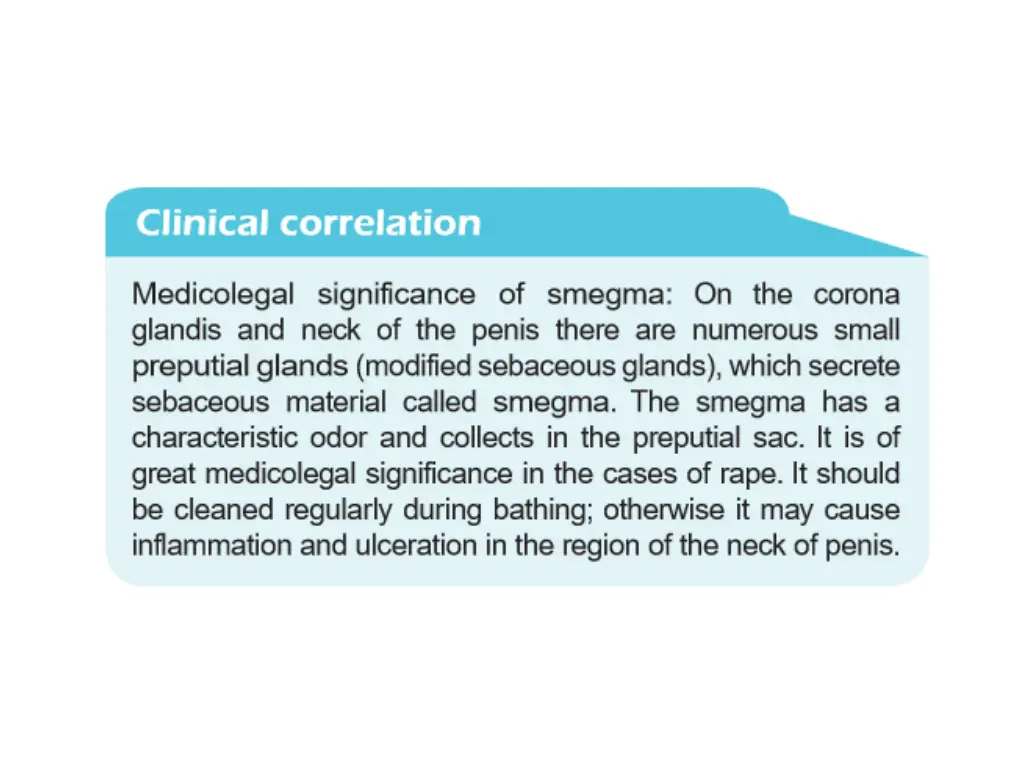 slide26