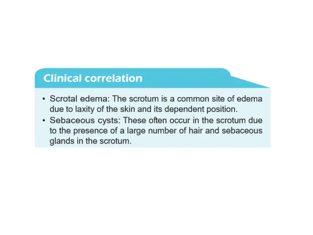 slide43